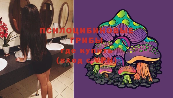 соль курить ск Надым