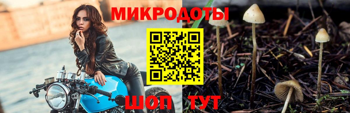 Отрадное  Псилоцибиновые грибы прущие грибы  Вход с VPN 